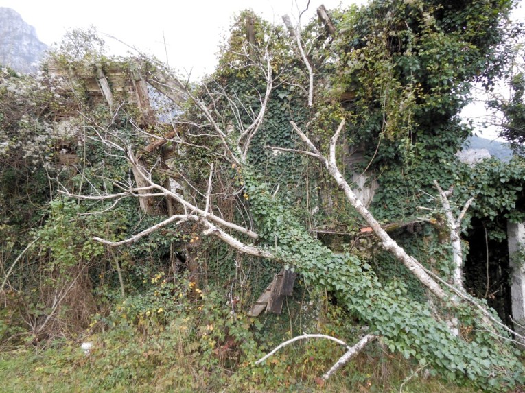 02Se ne sono tutti andati1