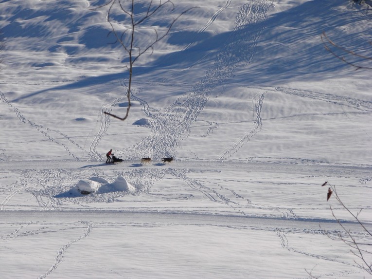 Alaska di casa nostra Piancavallo 30-12-2008