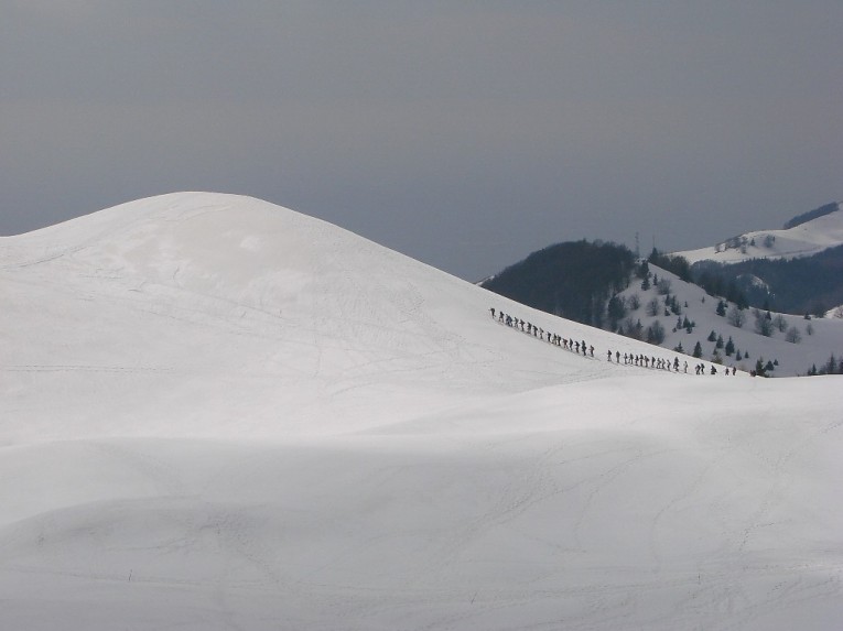 Formiche sullo zucchero Piancavallo 25-03-2009