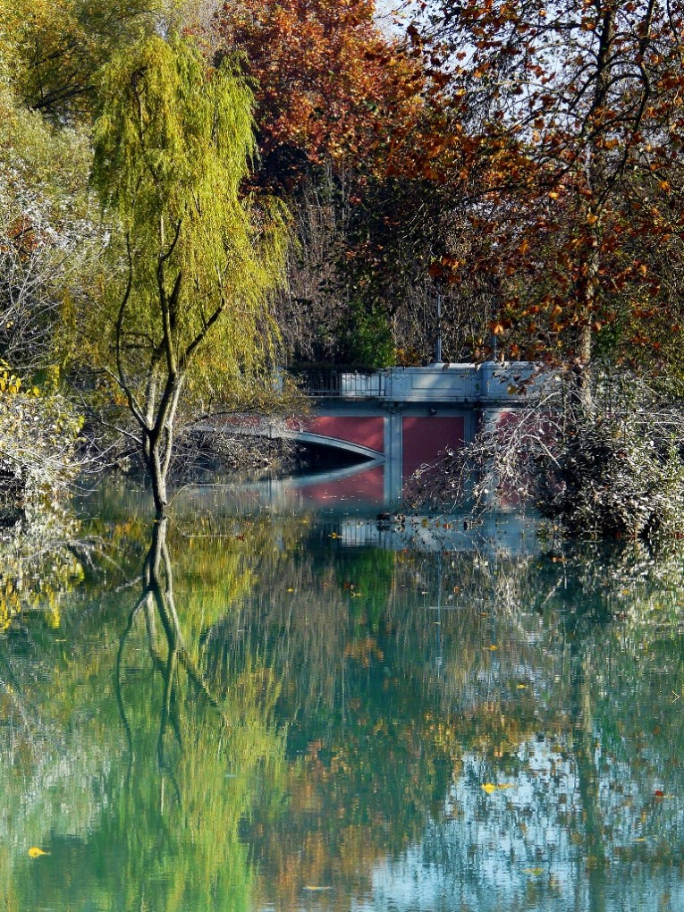 Francesca Codogno Un ponte tra la natura P1470585 web