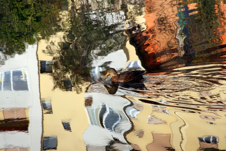 Francesca Codogno Vibrazioni di colori  IMG_5805