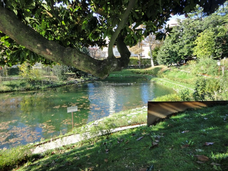 Il laghetto delle papere