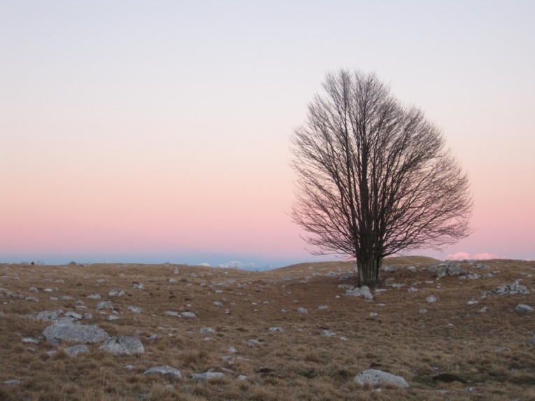 Piancavallo 2011_12_26