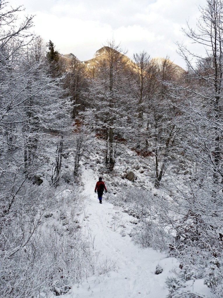 Piancavallo - il bosco incantato