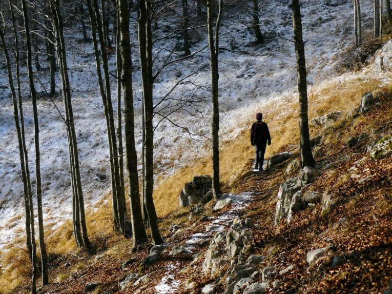 Piancavallo - sentiero della carbonaia