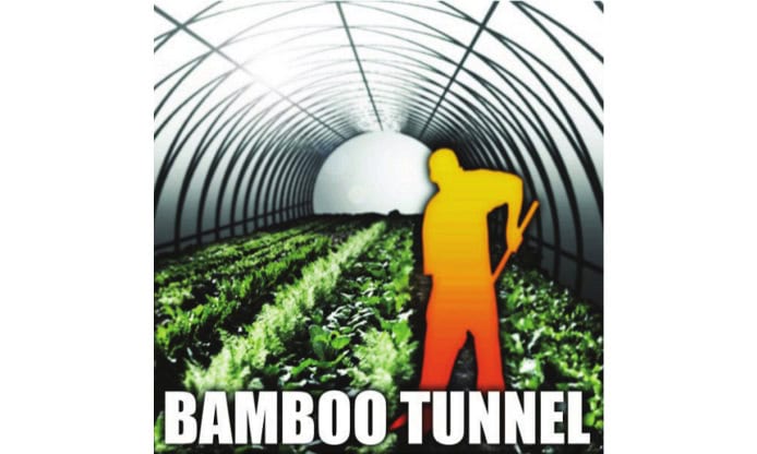 2012 autocostruzione serra in bamboo