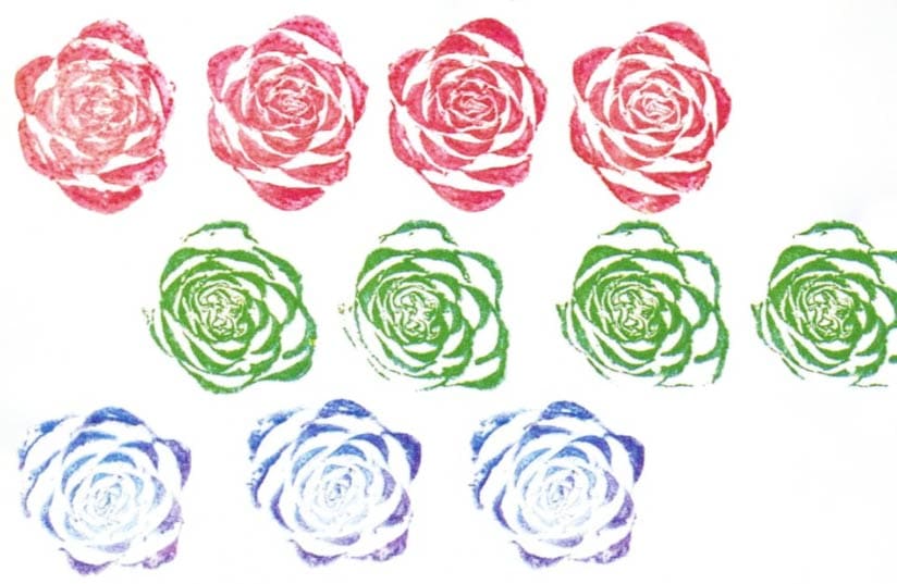 2013 laboratorio forme organiche