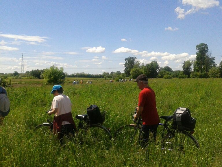 2013 scarpe e cervello 1