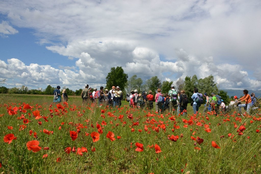 2013 scarpe e cervello passeggiata
