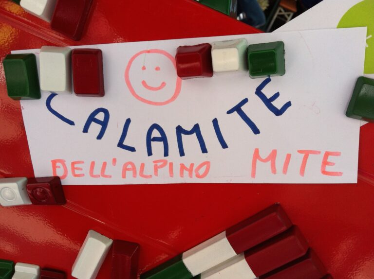 Calamite dell alpino mite