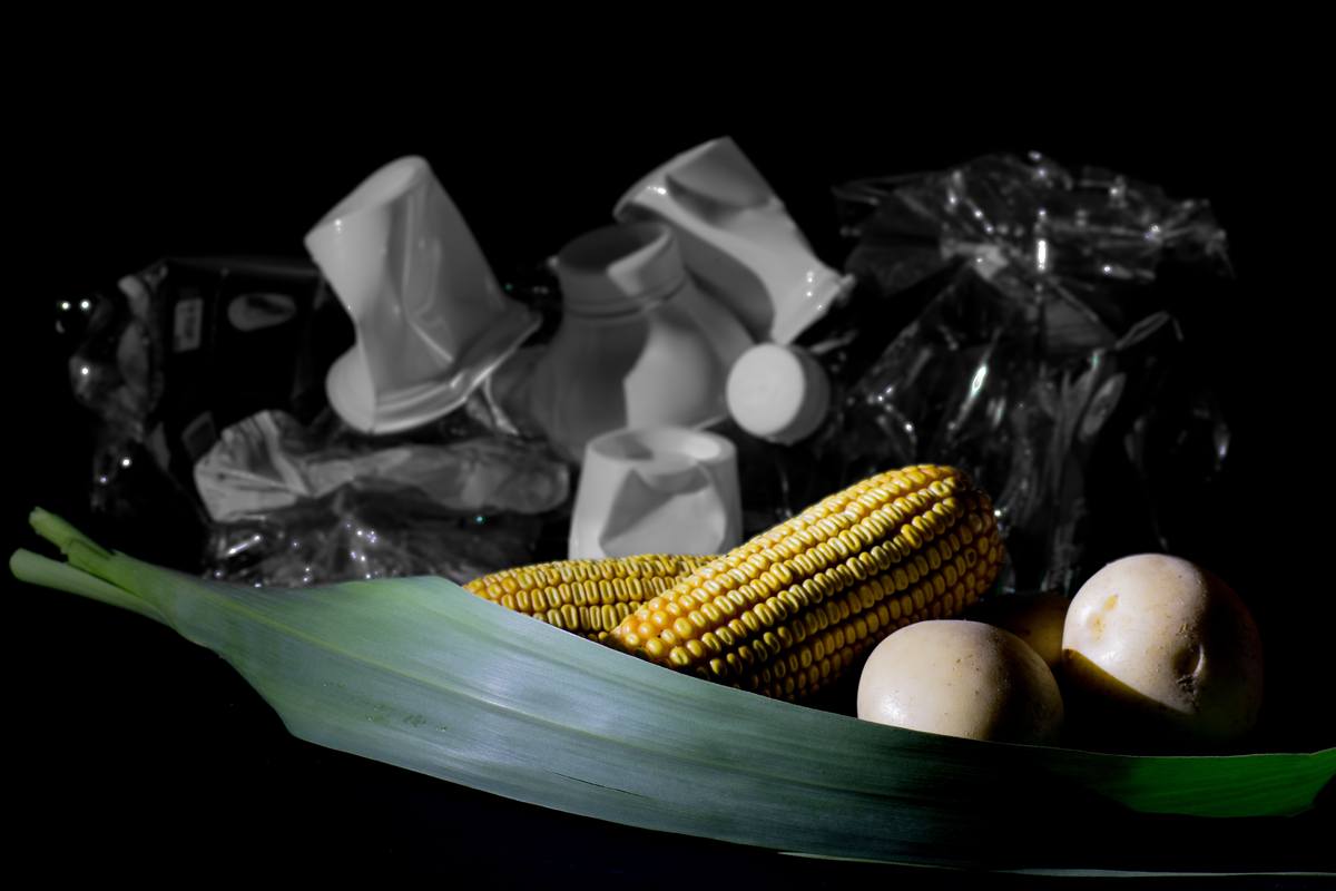 Il bio di Salvatore Battista