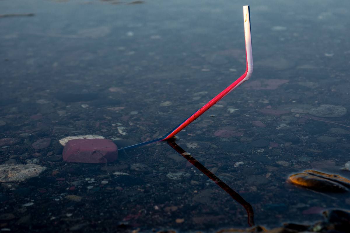 Dal drink al mare di Alina Bertolone