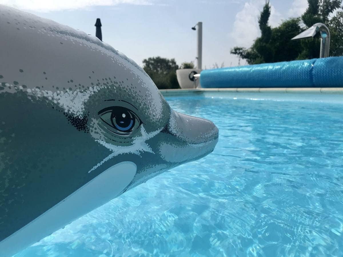 Fake delfinario di Simonetta Rossetti