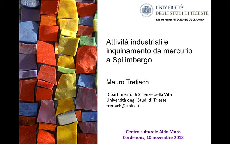 2_mauro_tretiach_mercurio_a_spilimbergo_2018